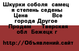 Шкурки соболя (самец) 1-я степень седены › Цена ­ 12 000 - Все города Другое » Продам   . Тверская обл.,Бежецк г.